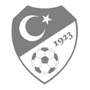 Milli Maçlar